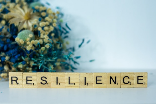 resilience in the face of adversity